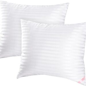 Throw Pillow Inserts, Machine Washable Pillows,Premium Polyester Fiber Fill for Sofa Bed & Decorative Cushions (White, 18x18inch)