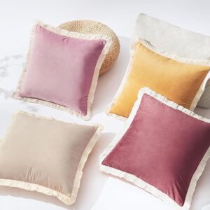 Decorative Throw Pillow Covers, Set of 4 Soft Velvet Modern Fringe Tassel Designs, Mix and Match for Home Decor, Pillow Inserts Not Included (18×18 inch, Beige/Dusty Pink)